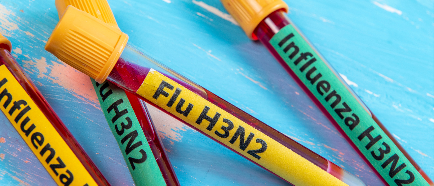 La semFYC llama a reforzar la prevención y a un uso  responsable de los servicios sanitarios, ante el aumento de  casos de gripe por el subclado K del virus H3N2
