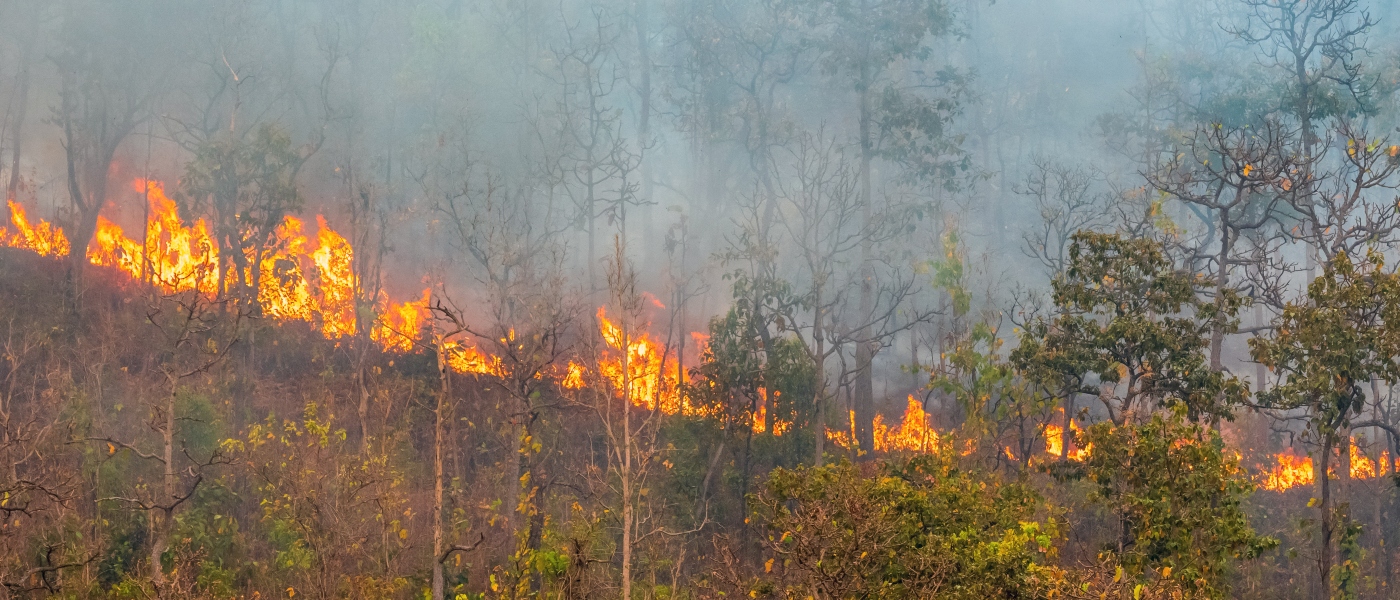 La Medicina Familiar y Comunitaria ante el aumento de grandes incendios: agudizaciones de patologías respiratorias y oculares, ansiedad y estrés postraumático, entre las patologías emergentes