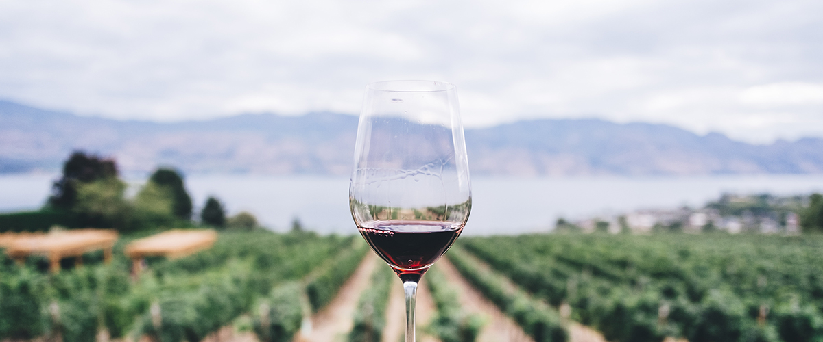 Los médicos de familia relacionan el riesgo de cáncer, hipertensión o ictus con cualquier consumo de alcohol, frente a la idea “no demostrada” de que una copa de vino es beneficiosa
