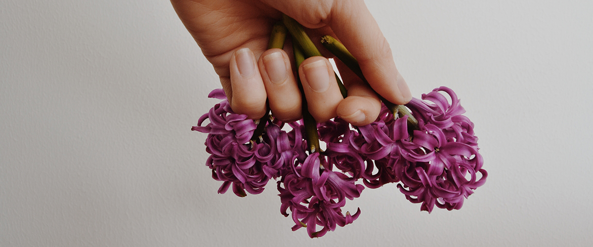 El Lancet Feminista – Parte 3 #HemosLeído