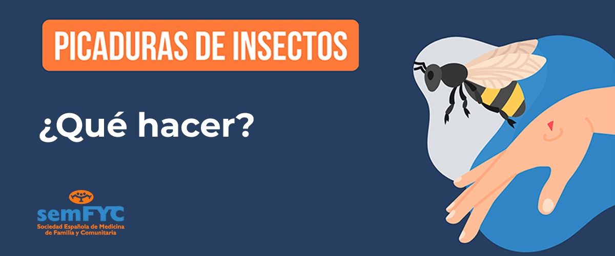 Todo lo que necesitas saber sobre las picaduras de insectos en verano: tipos, soluciones, cuándo acudir al médico…